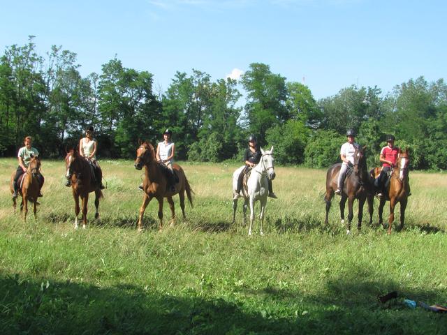 Horse-riding Centre AXA in Jaslovské Bohunice