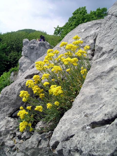 Little Carpathians Protected Landscape Area 