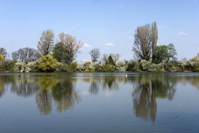 Trnavské rybníky (Teiche in der Nähe von Trnava, Hrnčiarovce nad Parnou)